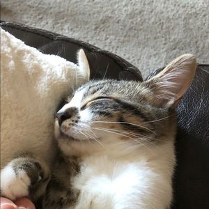 Meet your Posher, Nick